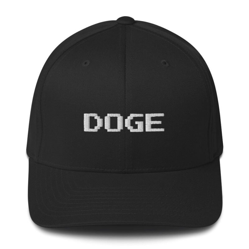 DOGE Hat Digital Pixelated Hat