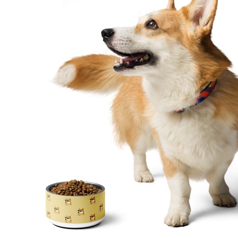 DOGE Dog Water Bowl - Premium Stainless Steel Pet Bowl | Department of Government Efficiency Fan Store, Dogecoin-Inspired