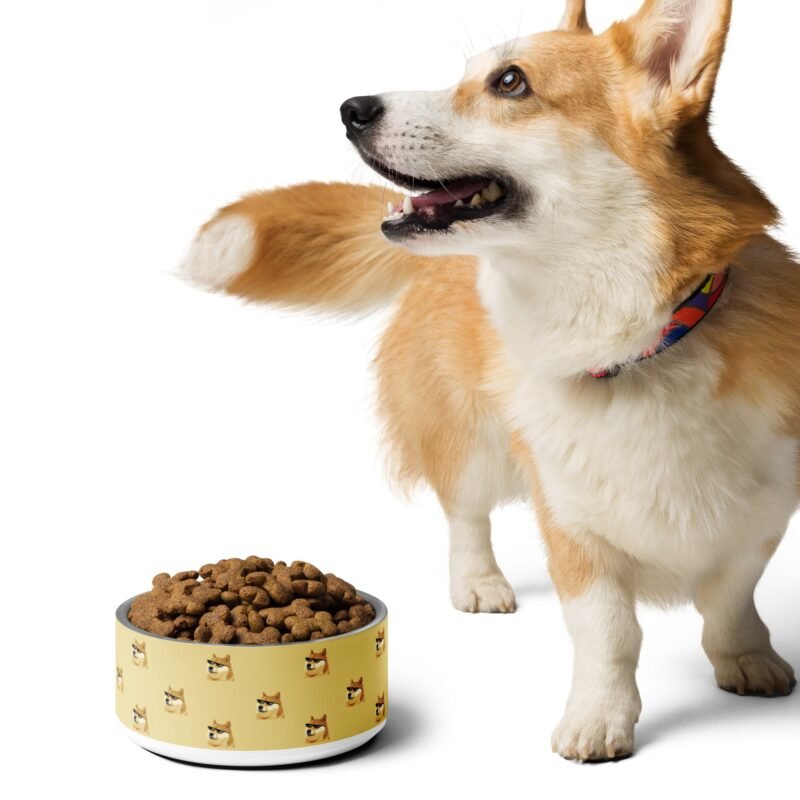 DOGE Dog Water Bowl - Premium Stainless Steel Pet Bowl | Department of Government Efficiency Fan Store, Dogecoin-Inspired