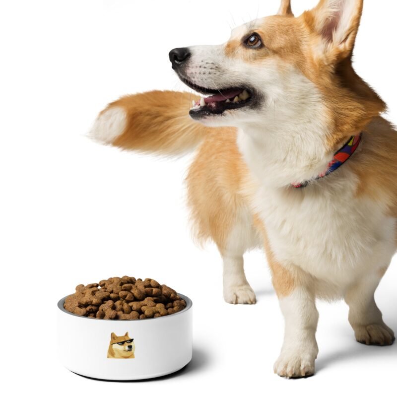 DOGE White Dog Bowl - Stylish Stainless Steel Pet Bowl | Department of Government Efficiency Fan Store, Dogecoin-Inspired