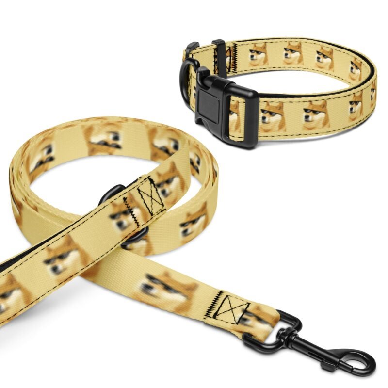 DOGE DOG collar & leash