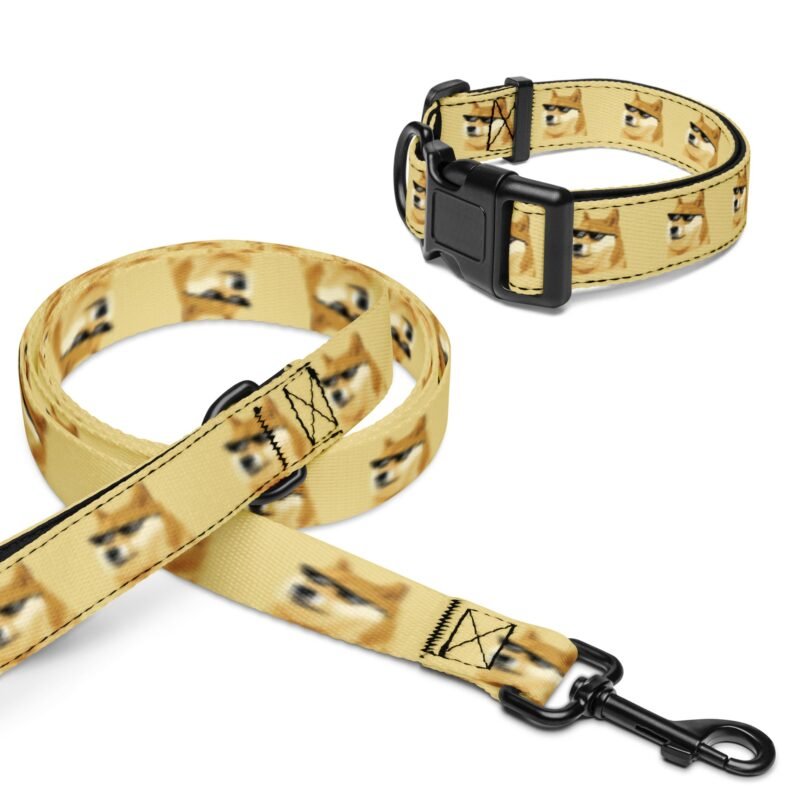 DOGE DOG collar & leash