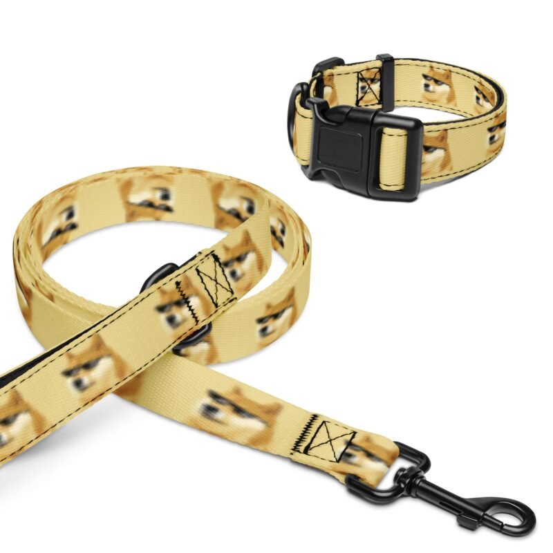 DOGE DOG collar & leash